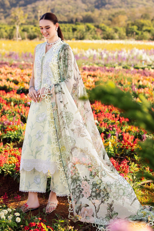 FLORA LAWN 03PC 2025