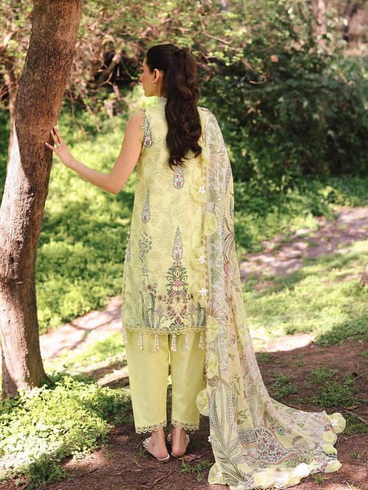 URBANE CHIFFON DUPATTA