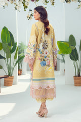 SOLITAIRE KURTI 2023