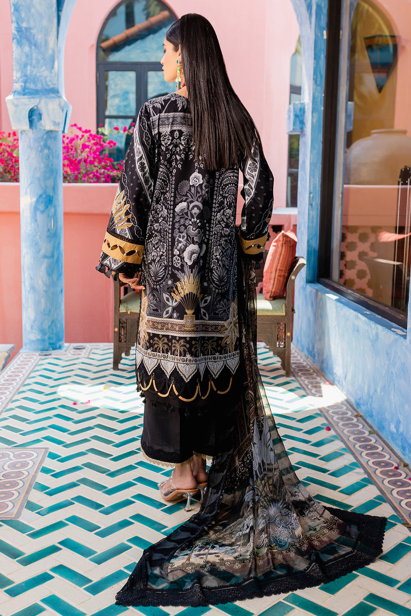 URBANE CHIFFON COLLECTION