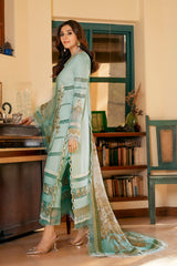 OMBRE COLLECTION 2023
