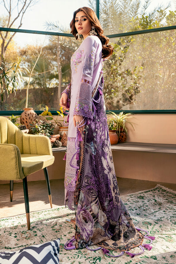 OMBRE COLLECTION 2023
