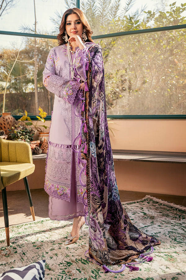 OMBRE COLLECTION 2023