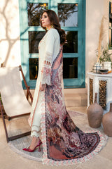 OMBRE COLLECTION 2023