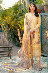 OMBRE COLLECTION 2023