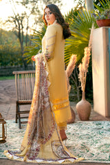 OMBRE COLLECTION 2023
