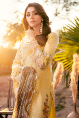 OMBRE COLLECTION 2023