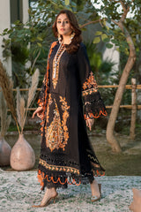 OMBRE COLLECTION 2023