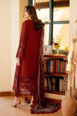 OMBRE COLLECTION 2023