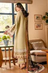 OMBRE COLLECTION 2023